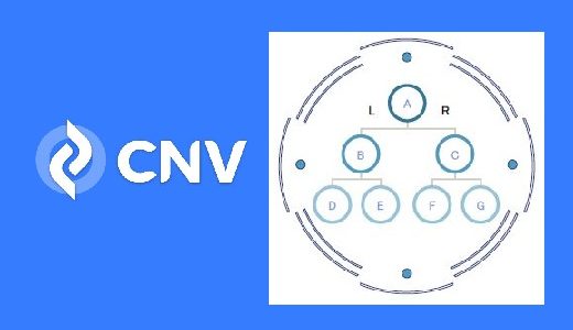 保護中: 【CNV】バイナリー報酬の仕組みをどこよりも詳しく解説【完全版】